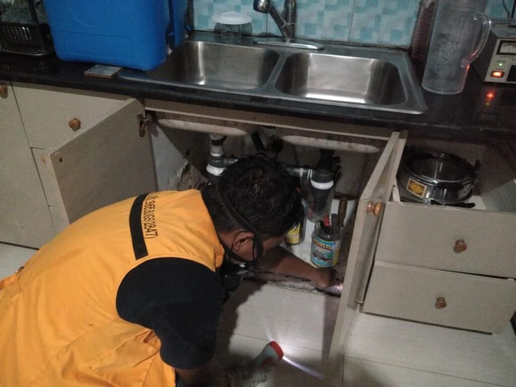 general pest control in cebu general pest control in mandaue cebu