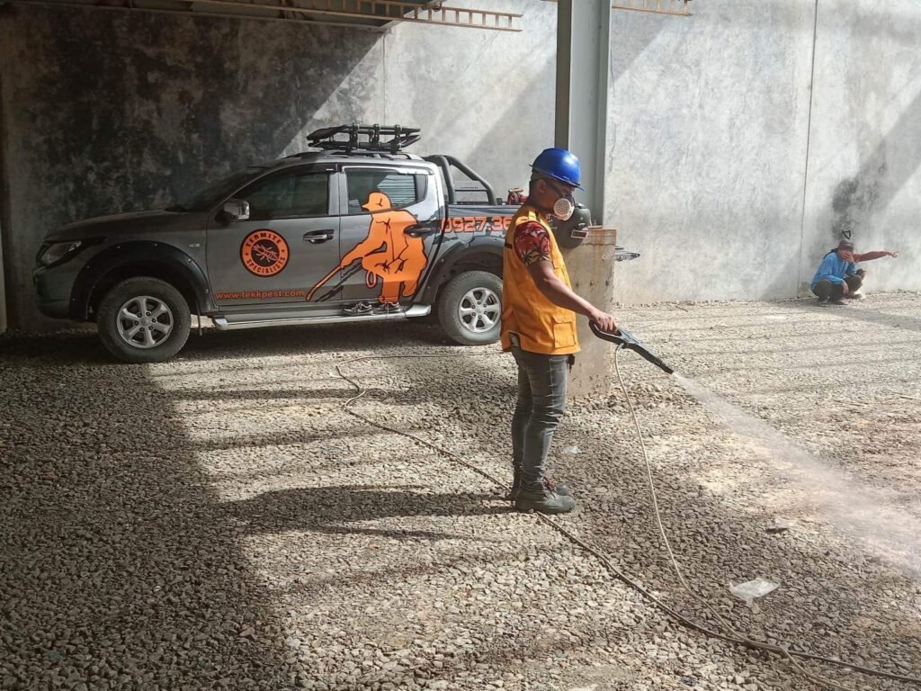 anti termite soil treatment in cebu soil poisoning in cebu mandaue