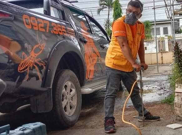 termite exterminator cebu termite exterminator cebu